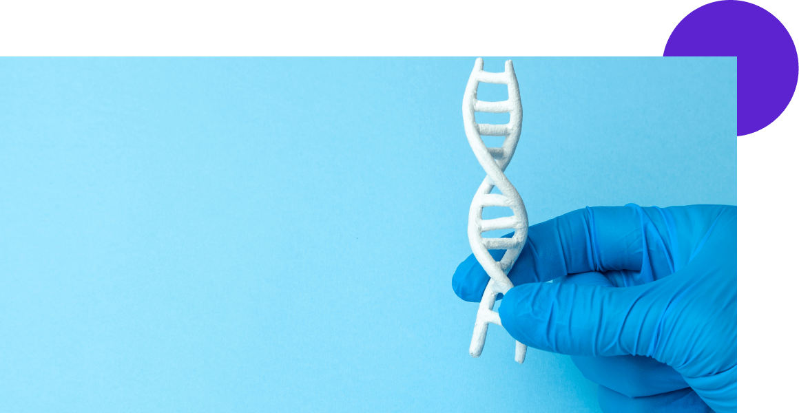 variation hormonale chez une femme