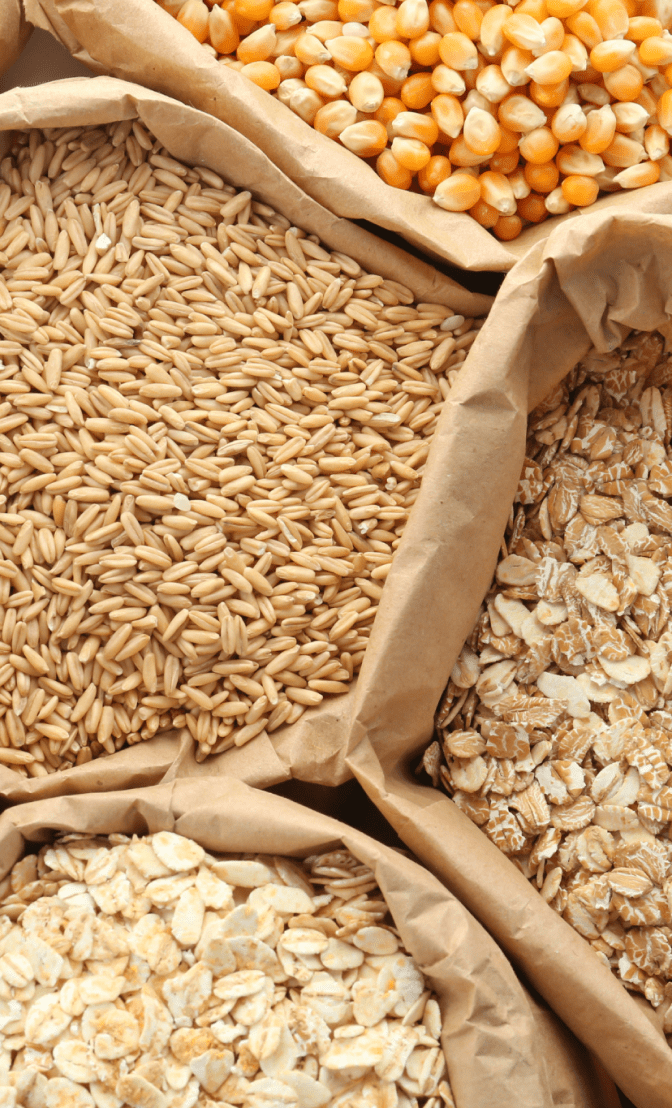 des céréales pour diminuer les graisses et la peau d'orange