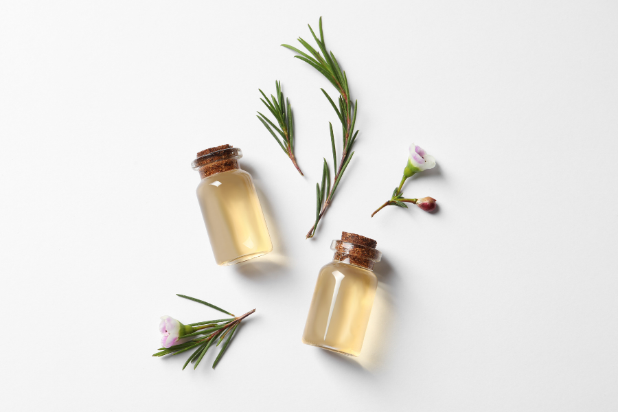 Huiles esentielles d'arbre à thé pour favoriser la repousse capillaire