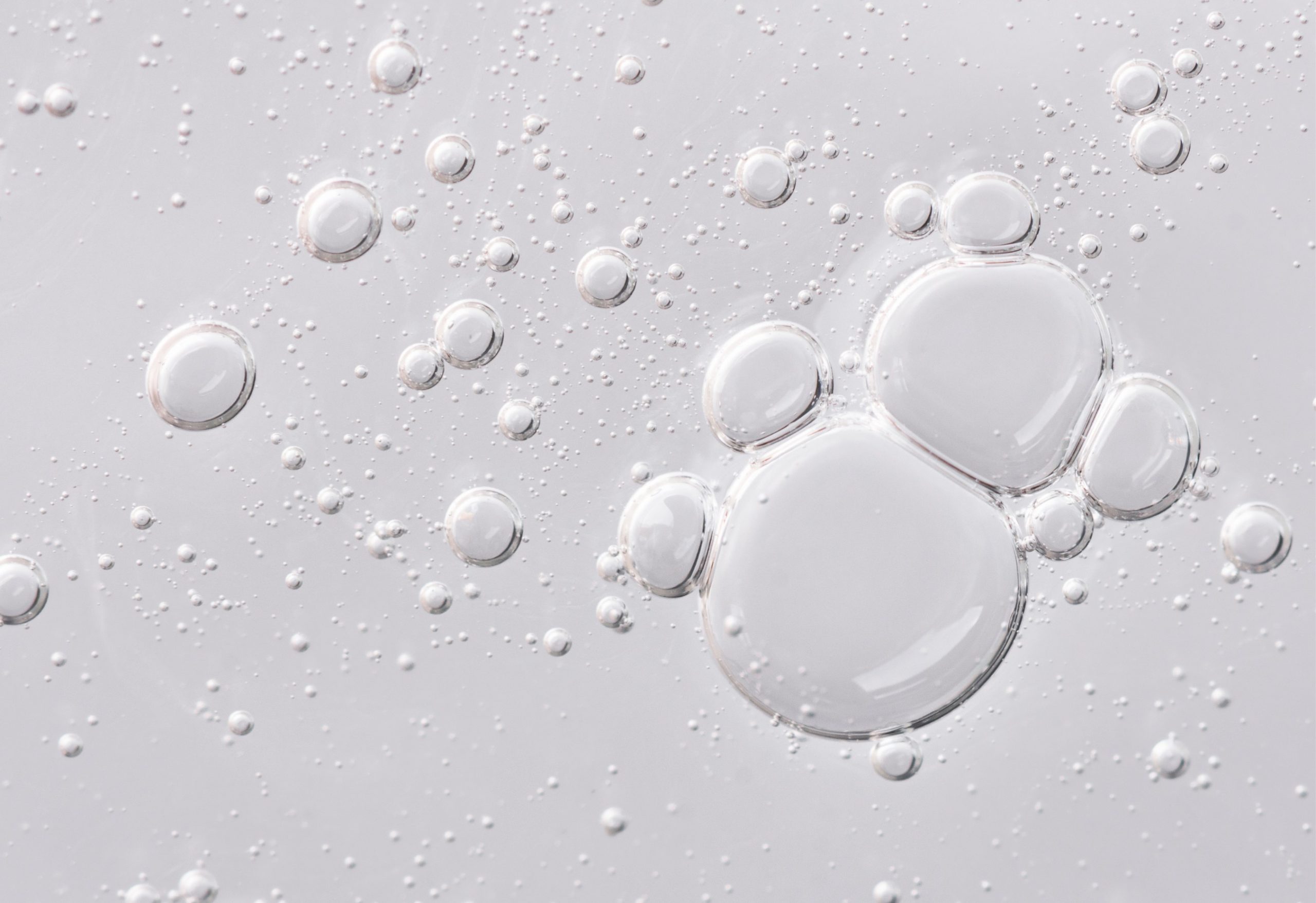 image de la composition d'une injection de botox