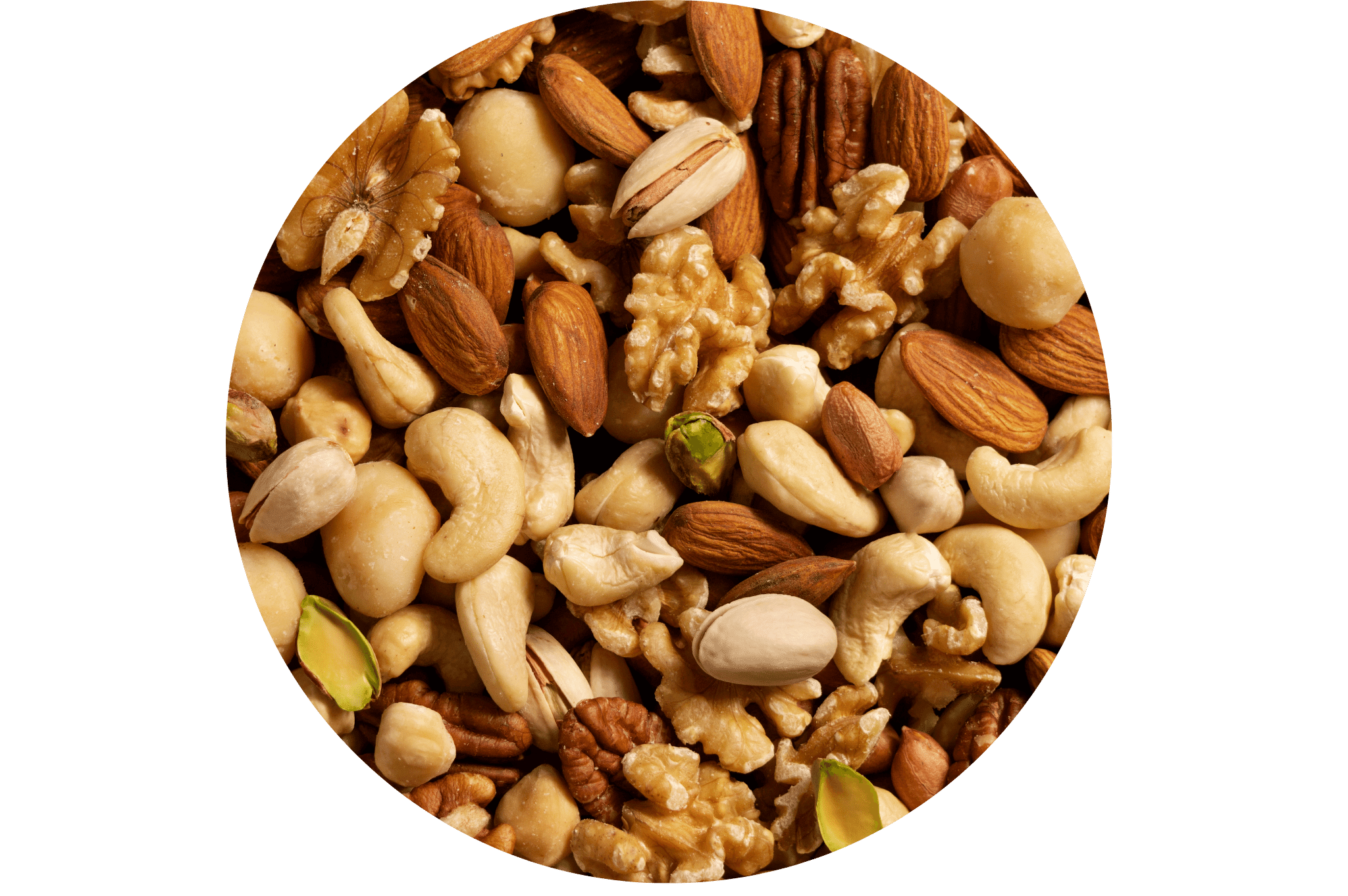 noisettes, cajou, noix