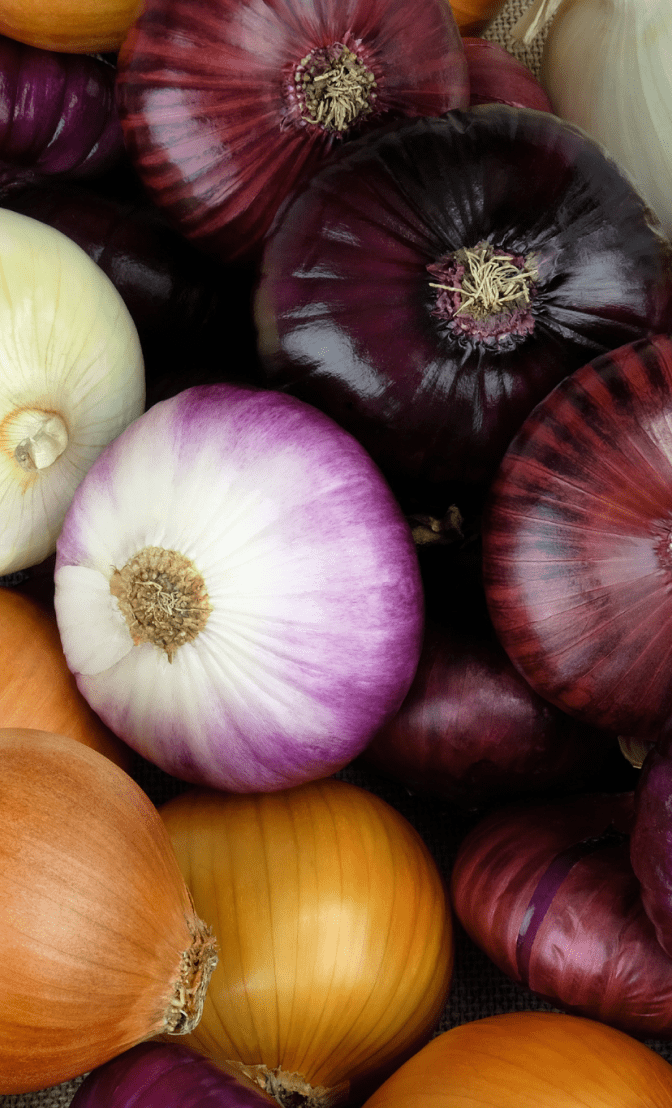 des oignons pour éviter la cellulite